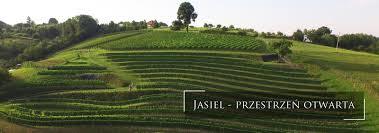 Winnica Jasiel